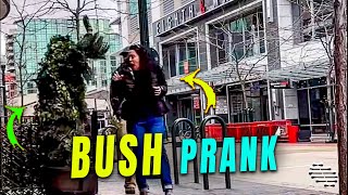Guy Disguised as a Bush Pranks Passersby