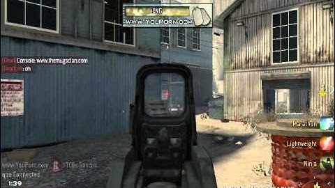 alteriw mw2 hacker  aimbot / wallhacks