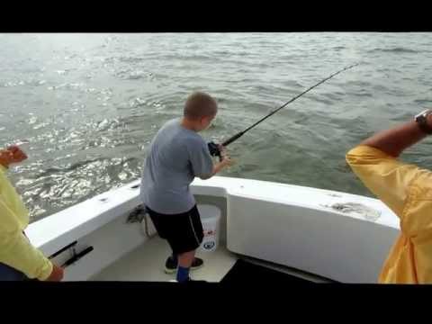 Karrick Ryne battles finetooth shark
