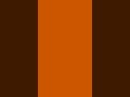 TENNÉ (TAWNY) SCREEN #CD5700 #shorts