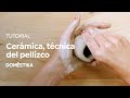 TUTORIAL Cerámica | Técnica del Pellizco | Lola Giardino | Domestika