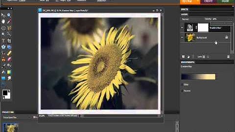 Split Toning Photoshop Elements Tutorial