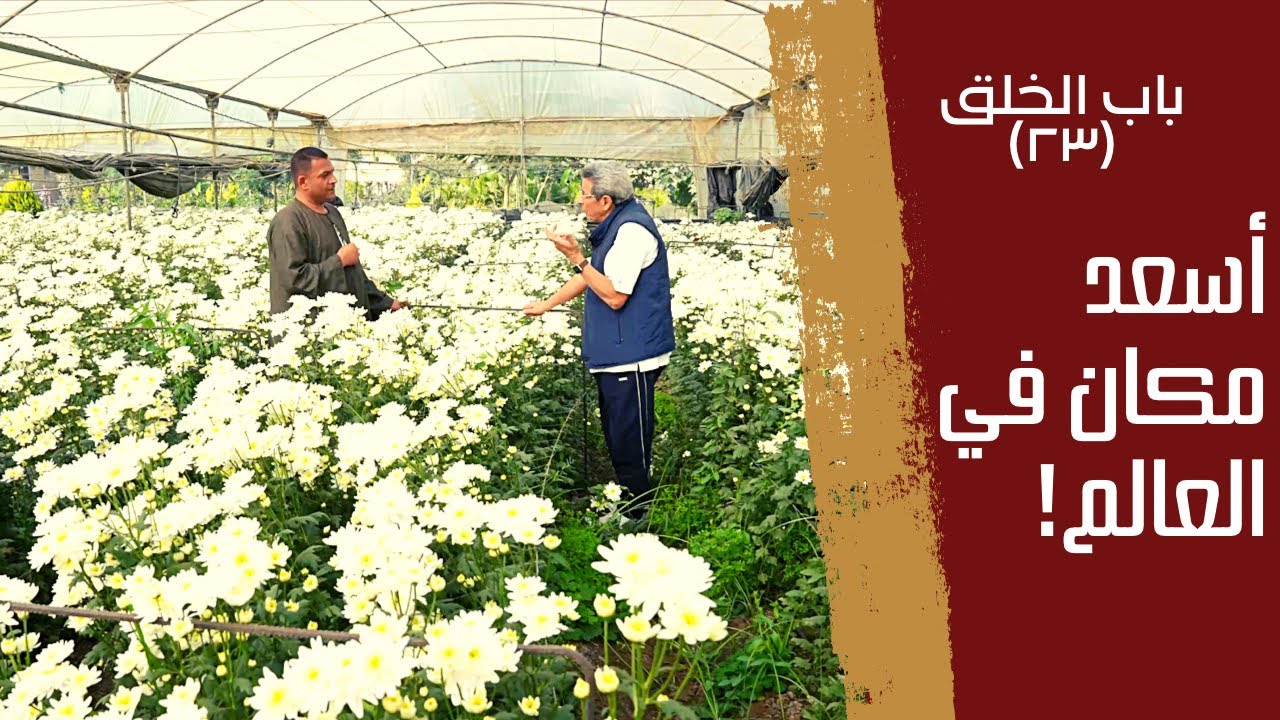 باب الخلق| مصر فيها بلد كاملة بتزرع ورد.. احنا في أسعد مكان في العالم!!