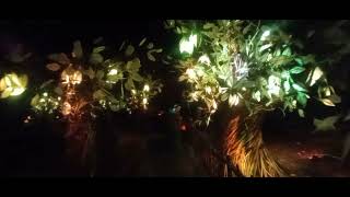 Glow Wild - WakeHurst! Uma visita noturna a uma galeria de arte a céu aberto.