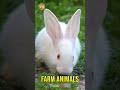 Farm Animal Sounds - Animais da Fazenda #shorts