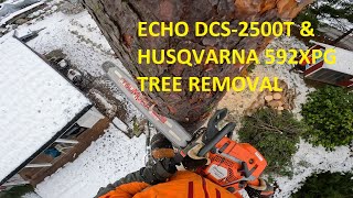 Arborist climbing & testing Echo DCS-2500T | Husqvarna 592XPG by patkarlsson 5,863 views 1 year ago 25 minutes