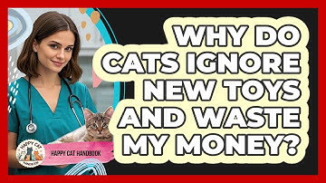 Why Do Cats Ignore New Toys And Waste My Money? - Happy Cat Handbook
