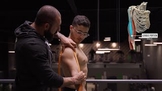 Comment Rattraper Le Retard Sur Les Biceps Entraînement 30Mns