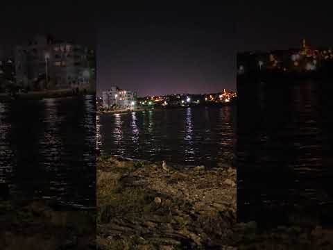 اليسا ملكت احساس 