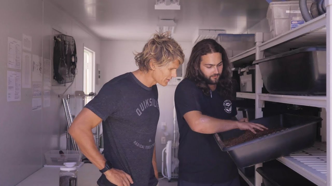 Jamie Mitchell paddles seven crossings of the Channel Islands to promote sustainability