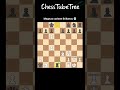 Magnus Carlsen’s Pure Brilliance