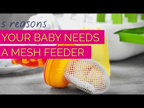 5 Reasons Your Baby Needs A MESH FEEDER