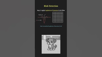 Blob Detection using Laplacian of a Gaussian