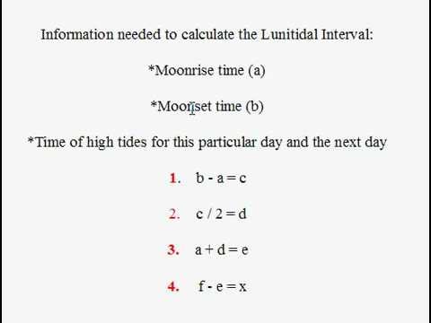 Vídeo: Como descubro meu intervalo lunitidal?
