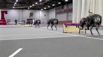 MIT cheetah robot lands the running jump (again and again)