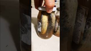 Doğal Alabalık Yağı Yapımı Ik Ikavı Irmızıbeneklialabalık