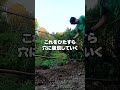 古民家の玄関前をお洒落に改造 #shorts #古民家