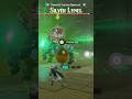 Armored Enemies 101 - Hyrule Warriors: Age of Imprisonment- Nintendo Switch 2