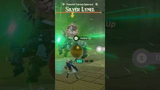 Armored Enemies 101 - Hyrule Warriors: Age of Imprisonment- Nintendo Switch 2