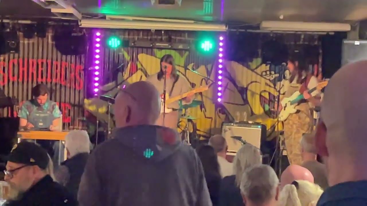 The Pink Stones, ett band från Texas i Garaget