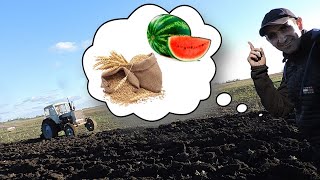 🍉🌾Планы На 2021, Пахота Под Арбуз, Обзор Пшеницы