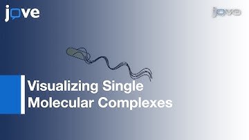 Visualizing Single Molecular Complexes By Advanced Fluorescence Microscopy l Protocol Preview