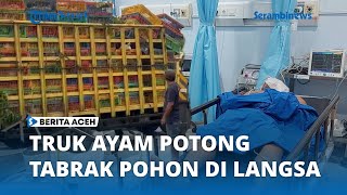 Truk Bermuatan Ayam Potong Tabrak Pohon di Langsa, Sopir Meninggal Dunia