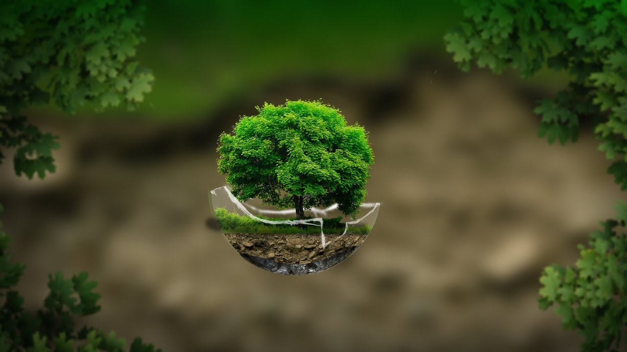 Mani Decosta - Desnundo Vino