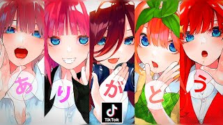 Tổng Hợp Video Tik Tok Nhà Có 5 Nàng Dâu 🌸 - Gotobun no Hanayome - #10 | Minh Wibuu