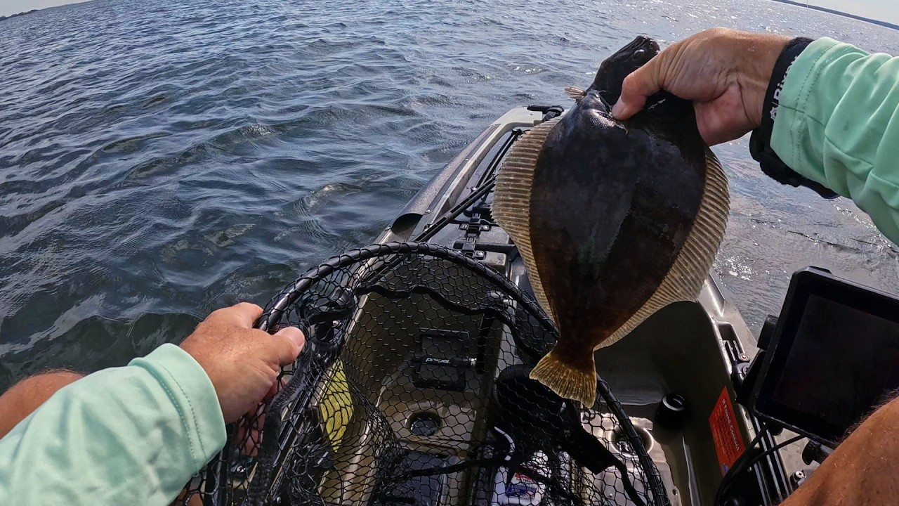 Dropped 3 Species at the Kayak! Rough Day Fluke Fishing at Rye Beach