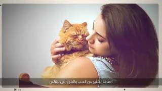 Fanciest Cat Winner - How Nugget Changed My Life - الفائزة بمسابقة أجمل قطة نغت