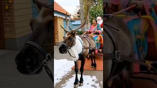 From Magic Stick To Santas Sleighmy Gift Delivery Adventure