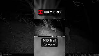 Hikmicro M15 Trail Camera #hikmicro