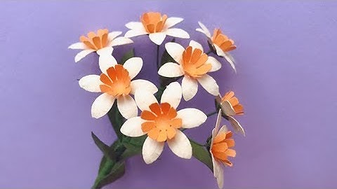 ABC TV | How To Make Paper Flower With Shape Punch #7 - Craft Tutorial