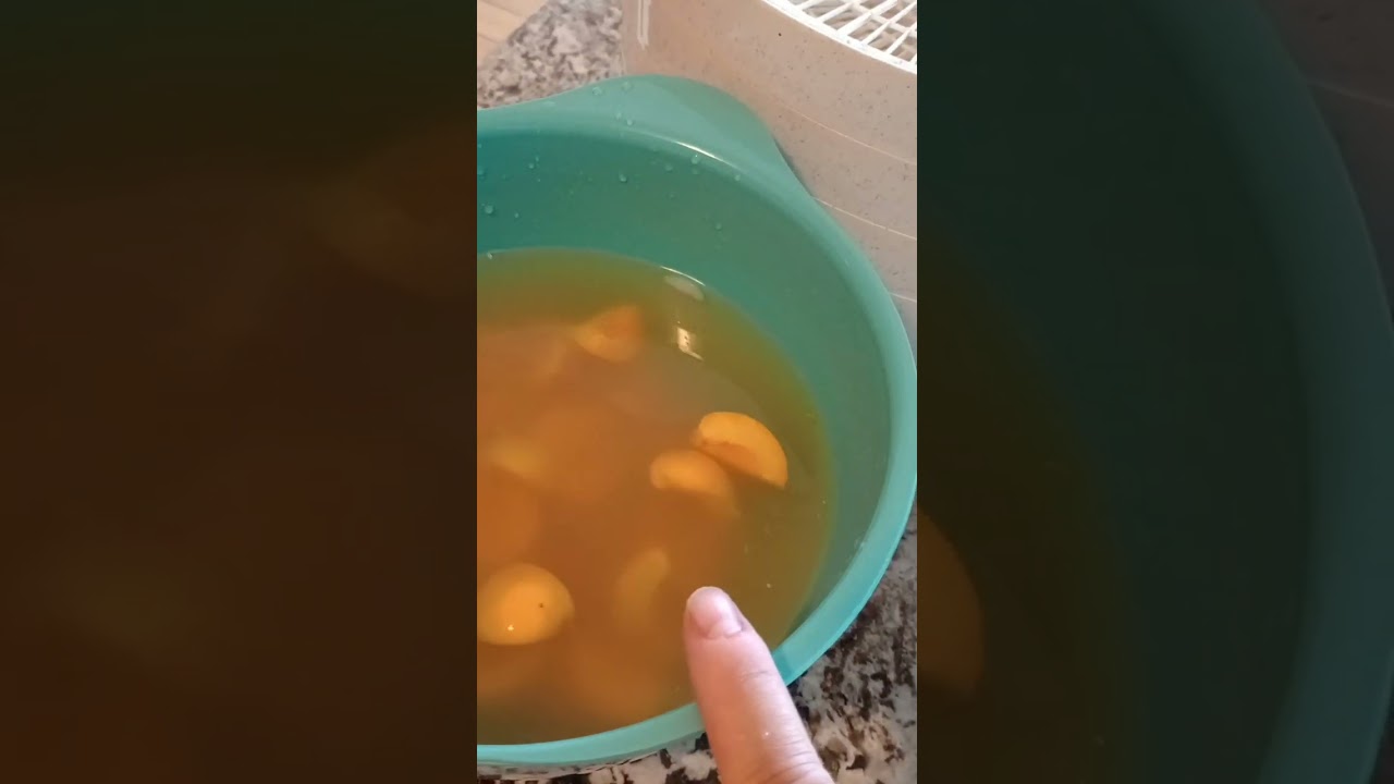 Dehydrating Apricots, Part 1