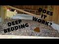 Chicken Coop Deep Bedding: 1 Year Review