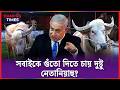ট্রাম্পের পর এবার আলোচনায় নেতানিয়াহু | Netanyahu Buffalo | Narayanganj Farm | Campus Times