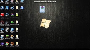 How to install and run Rei