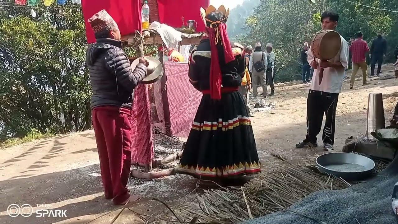Lama nach video नुवाकोट लामा नाच
