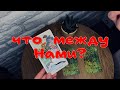 ЧТО МЕЖДУ НАМИ ? 🌿✨🦋