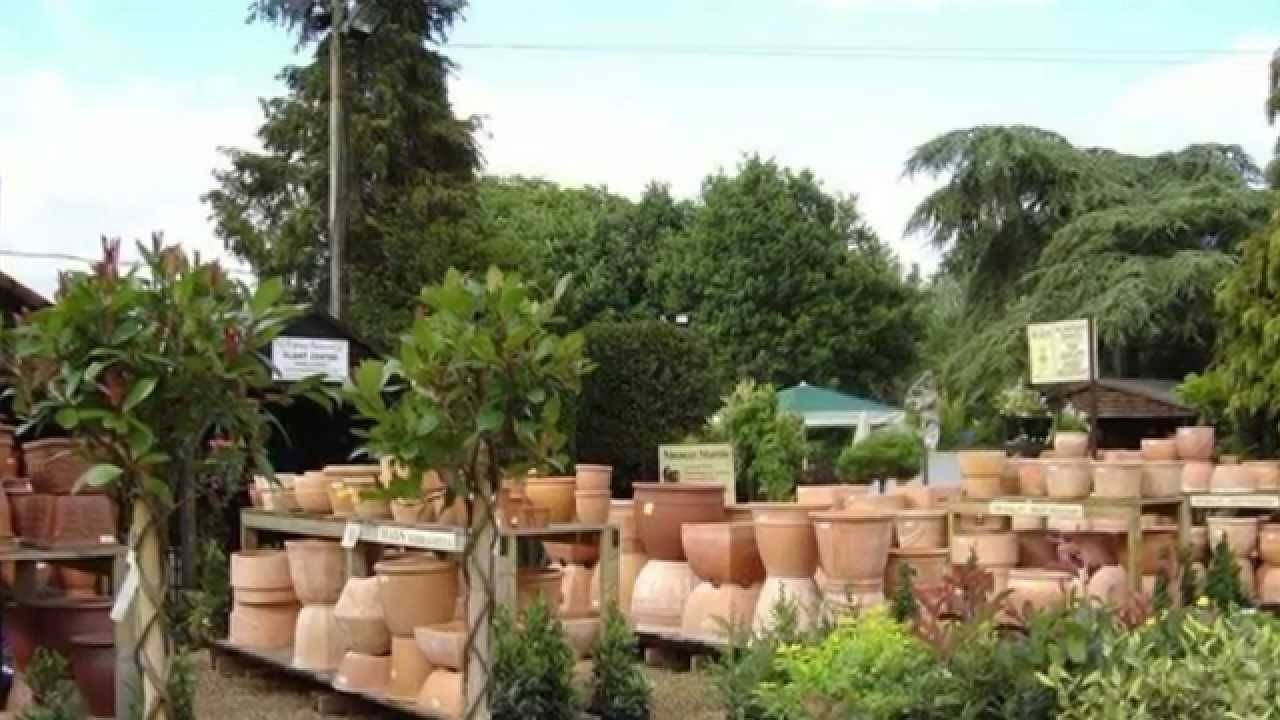 Ripley Nurseries & Garden Centre, Surrey YouTube