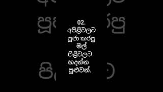 nomile pin 🙏🌸🌼q #buddha #budhist #Sumedathero