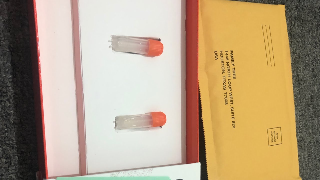 اجريت تحلي دي ان اه وحطوني بقبايل غير قبيلتي DNA