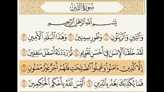 سورة التين(عبدالعزيز الزهراني)
