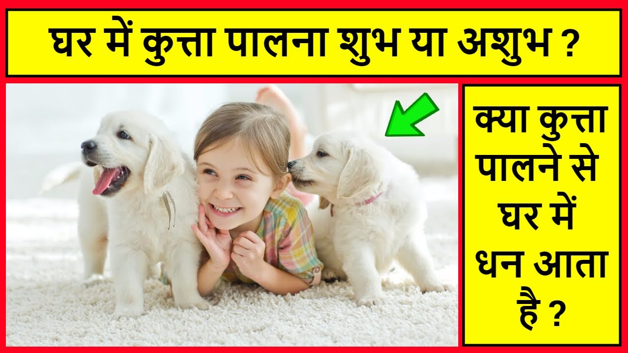 ghar me dog palna chahiye ya nahi kutta palne se kya hota hai घर