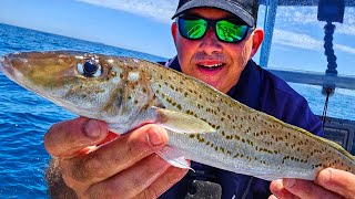 Cracking the King George Whiting Fishing Code Catch n Cook