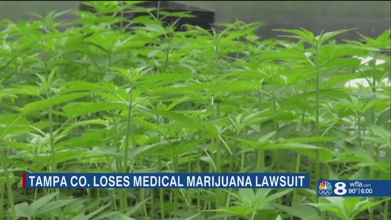 Florida Supreme Court rules against Tampa medical marijuana company