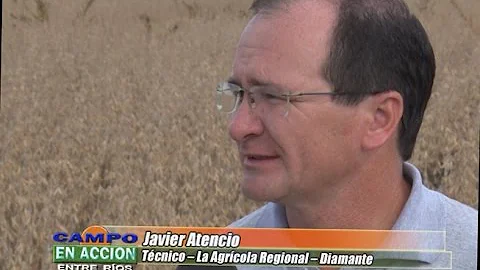 Javier Atencio - Trilla de Soja en Dpto. Diamante