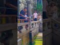 💦 “Pure Water Temple” Kiyomizudera Temple Kyoto Japan💦#japan #kyoto #travel #discoverjapan #explore