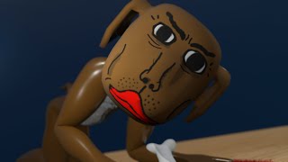 What the Dog doing